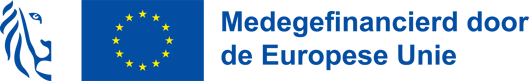 Combilogo_leeuw_bleke achtergrond_Medegefinancierd EU