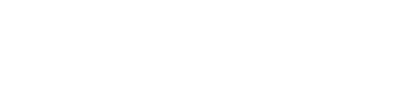 BMCI BMCI