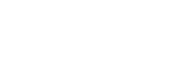 Ingenico Ingenico