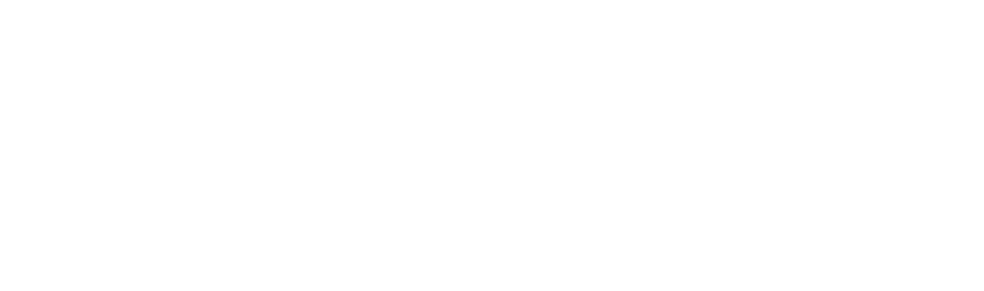 Swiss Sense Swiss Sense
